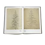Caspar David Friedrich : the art of drawing | 02021 | Tienda - Fundación Juan March
