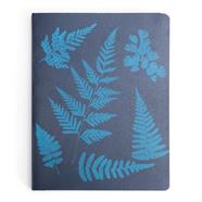 Detente, instante. Una historia de la fotografía | 03414 | Tienda - Fundación Juan March