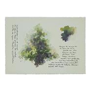 Trozos de musgo en la base de una fuente en las termas de Diocleciano | 06680 | Tienda - Fundación Juan March