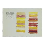 Narcisos amarillos y tulipanes amarillos | 06679 | Tienda - Fundación Juan March