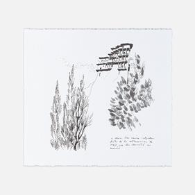 Casas Colgadas, Cuenca | 03645 | Fernando Zóbel | Tienda - Fundación Juan March