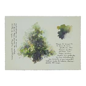 Trozos de musgo en la base de una fuente en las termas de Diocleciano | 06680 | Tienda - Fundación Juan March