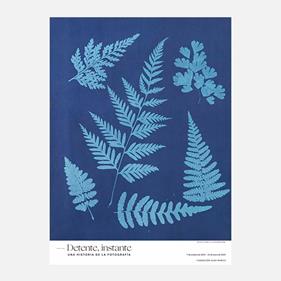 Sin título, c. 1855 | 03421 | Tienda - Fundación Juan March